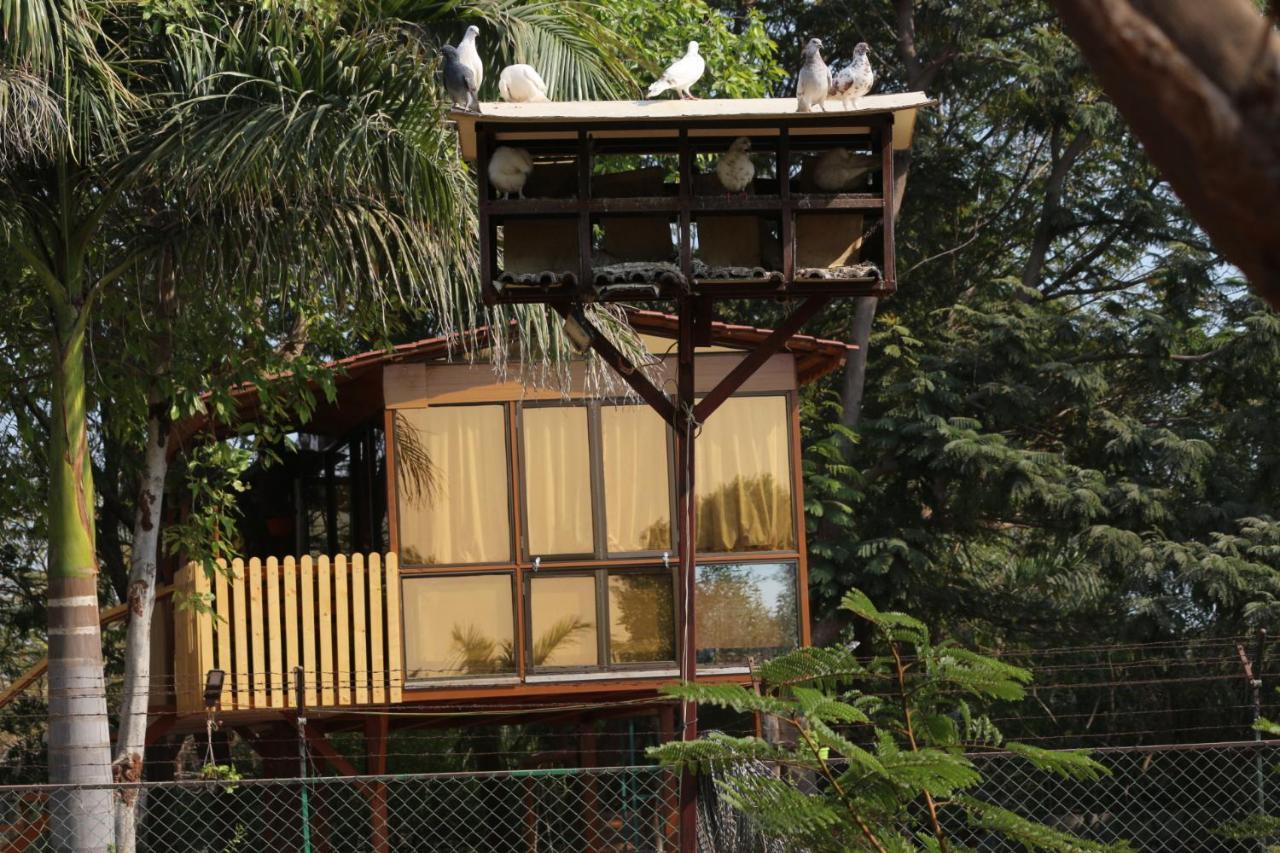 Visamo Farmstay Nanodra Ngoại thất bức ảnh